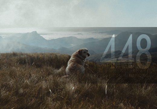 Angel Number 448 Meaning Sow the Seeds of Hard Work