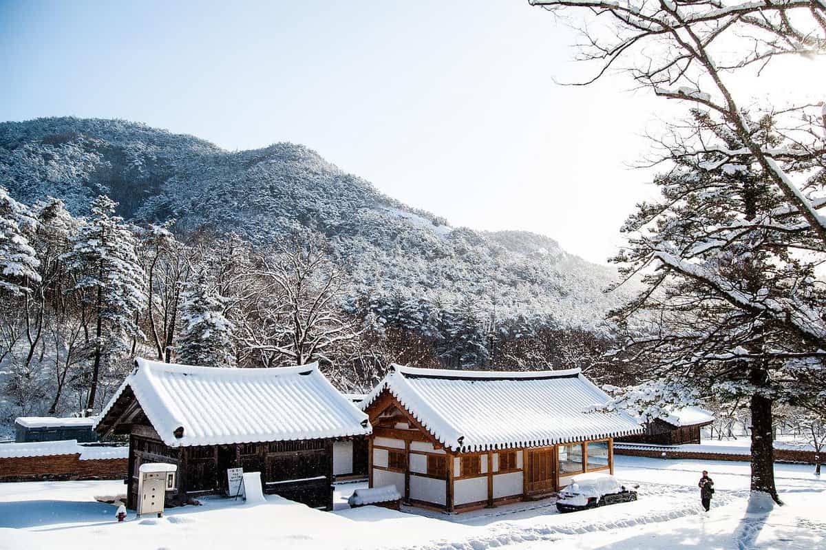 tetti coperti di neve