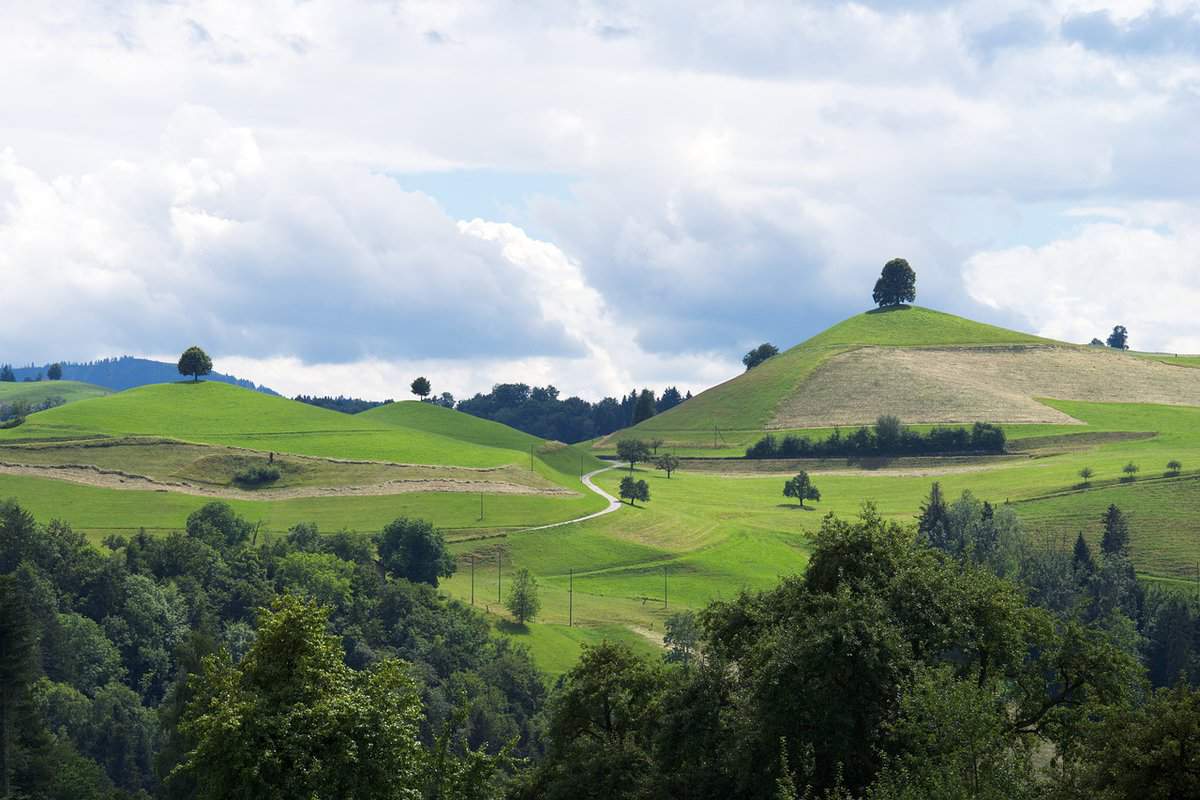 cielo-natura-alberi