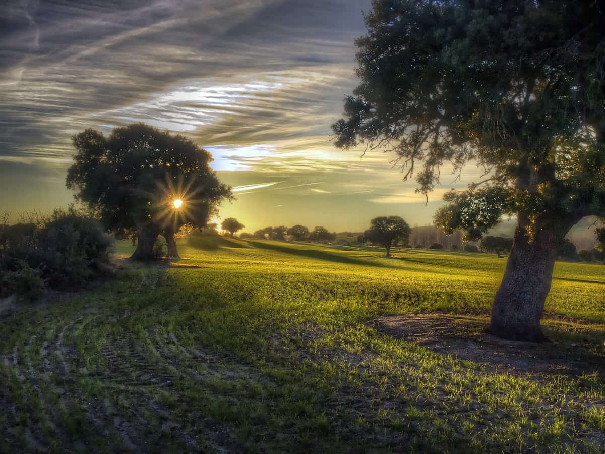 sole-cielo-natura