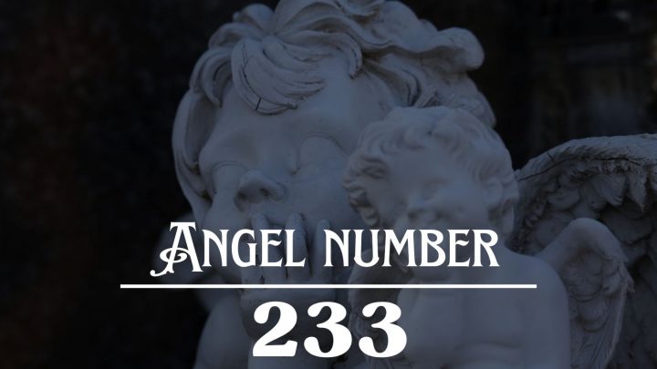 Angel Number 233 Meaning: It’s Time To Free Yourself From Your Fears !
