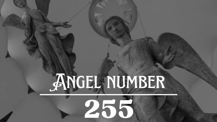 天使编号255的含义：利用你的机会成长。