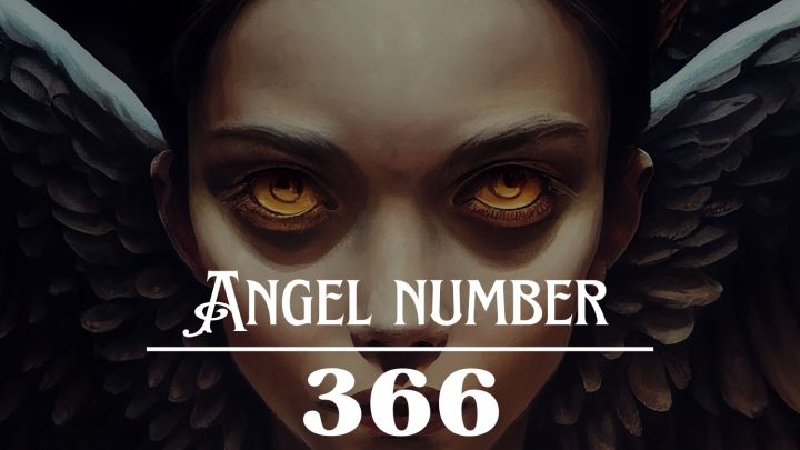 天使号码366的含义：你的精神现在就需要。