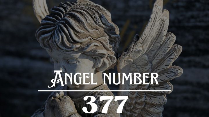 Angel Número 377 Significado: Todo su trabajo duro pronto dará sus frutos! 