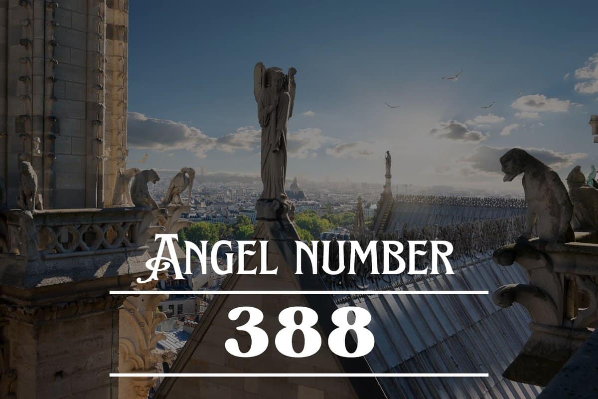 Angel Number 388 Meaning: Use Your Power Wisely Angelynum