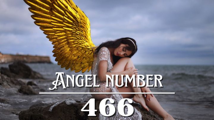天使编号 466 的含义：照顾内心的花园。