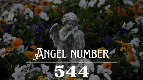 Angel Number 544 Meaning: Rather Than Try And Change The World, We 