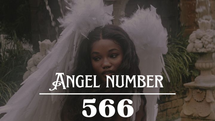 天使数字 566 的含义：是时候释放你的精神力量了。