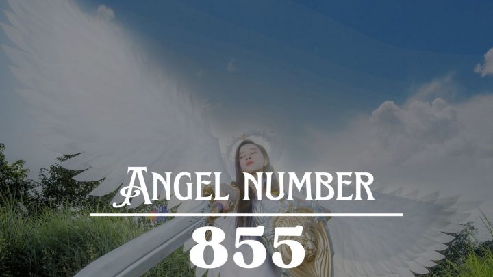 Significado do Anjo Número 855: O tempo dos milagres está a chegar