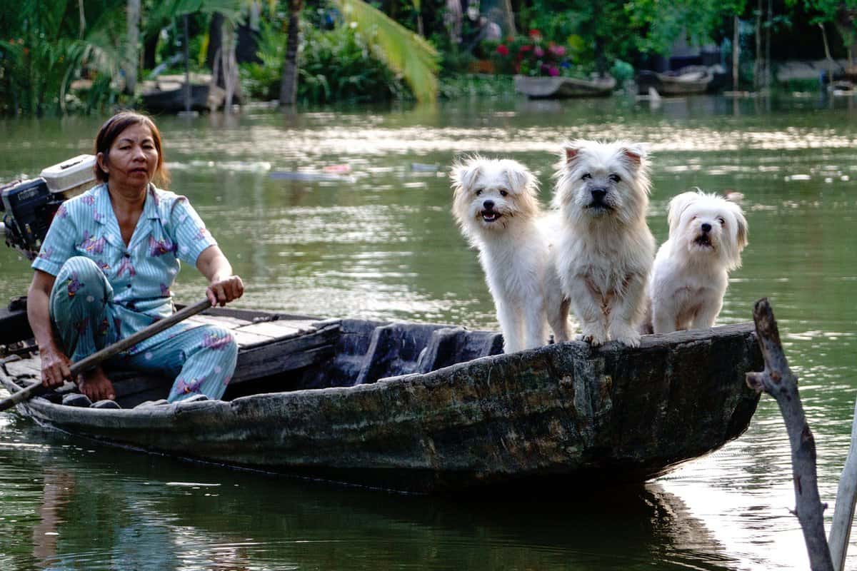 andar de barco