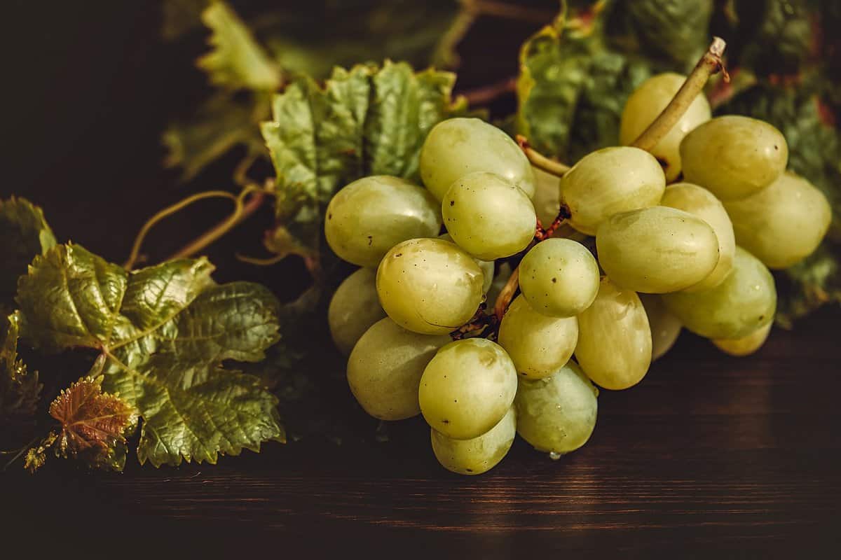 white-grapes-sweet