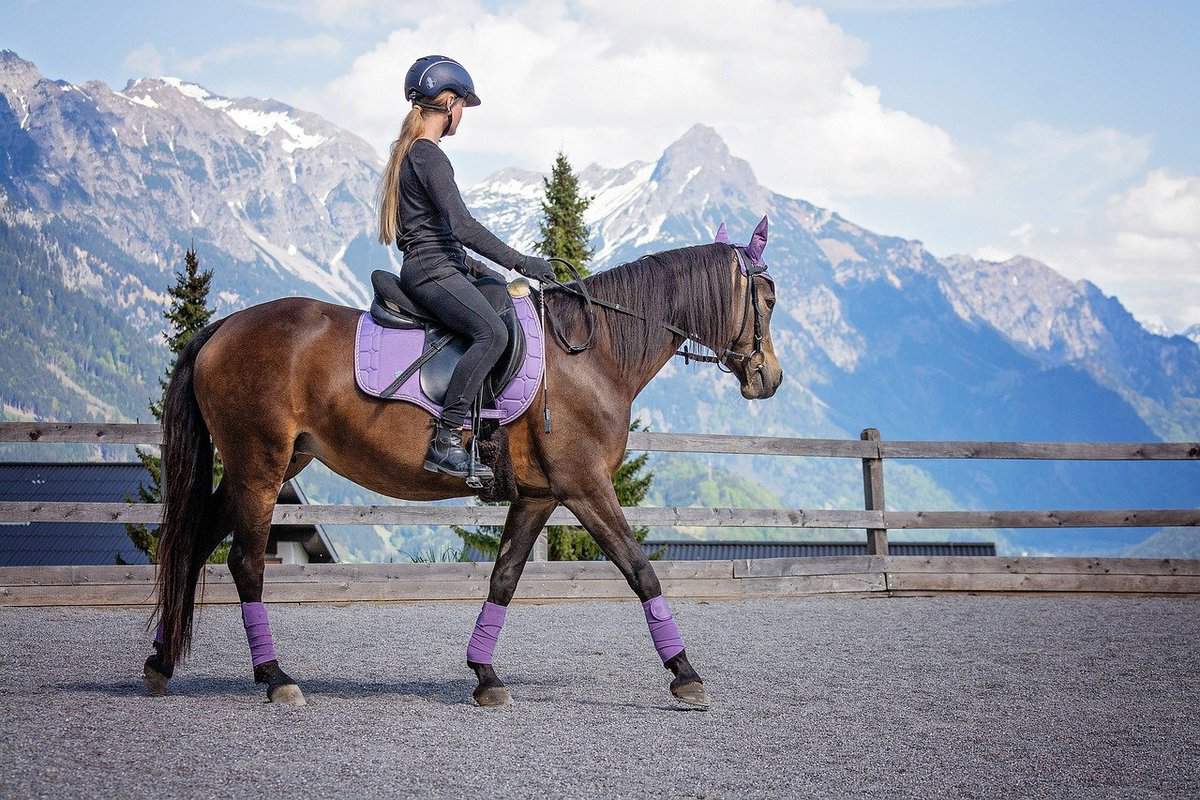 mujer y caballo