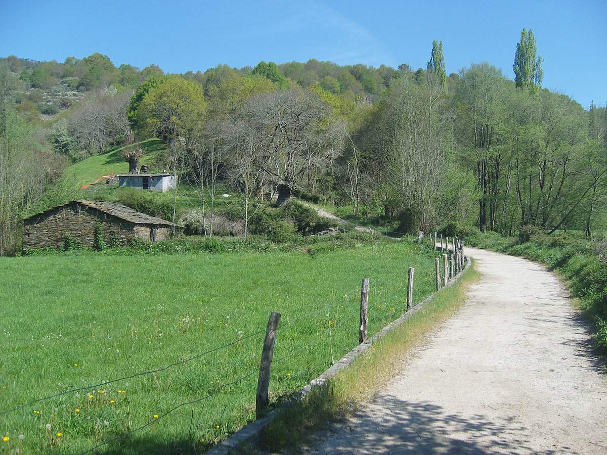 Green-meadow-road