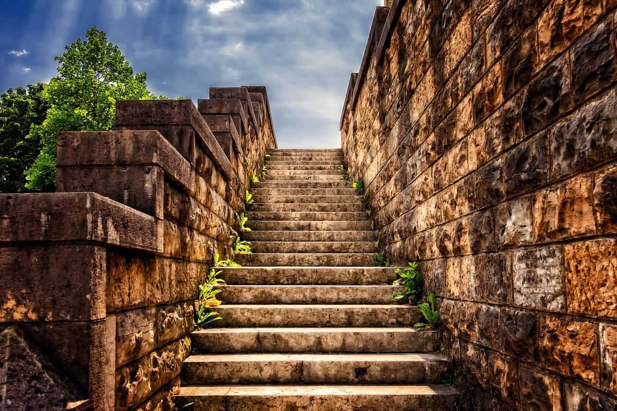 old-overgrown-steps