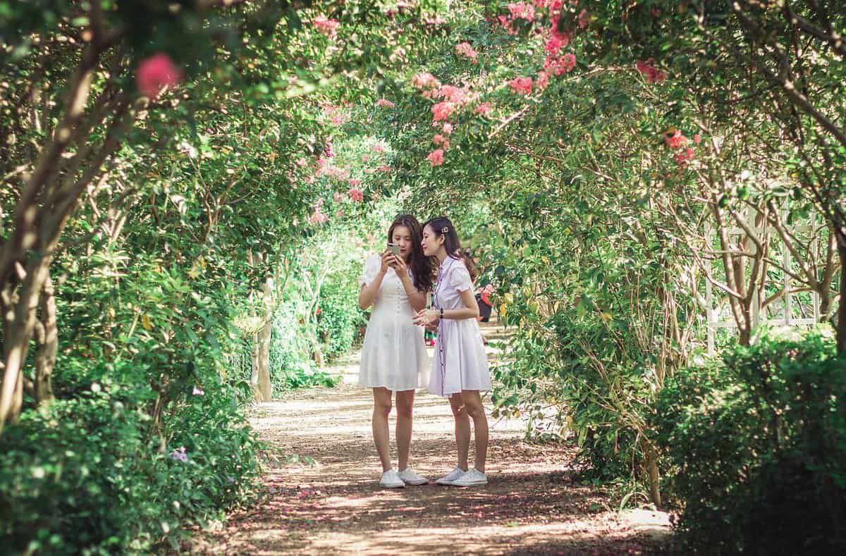 amiche-asiatiche-femminili