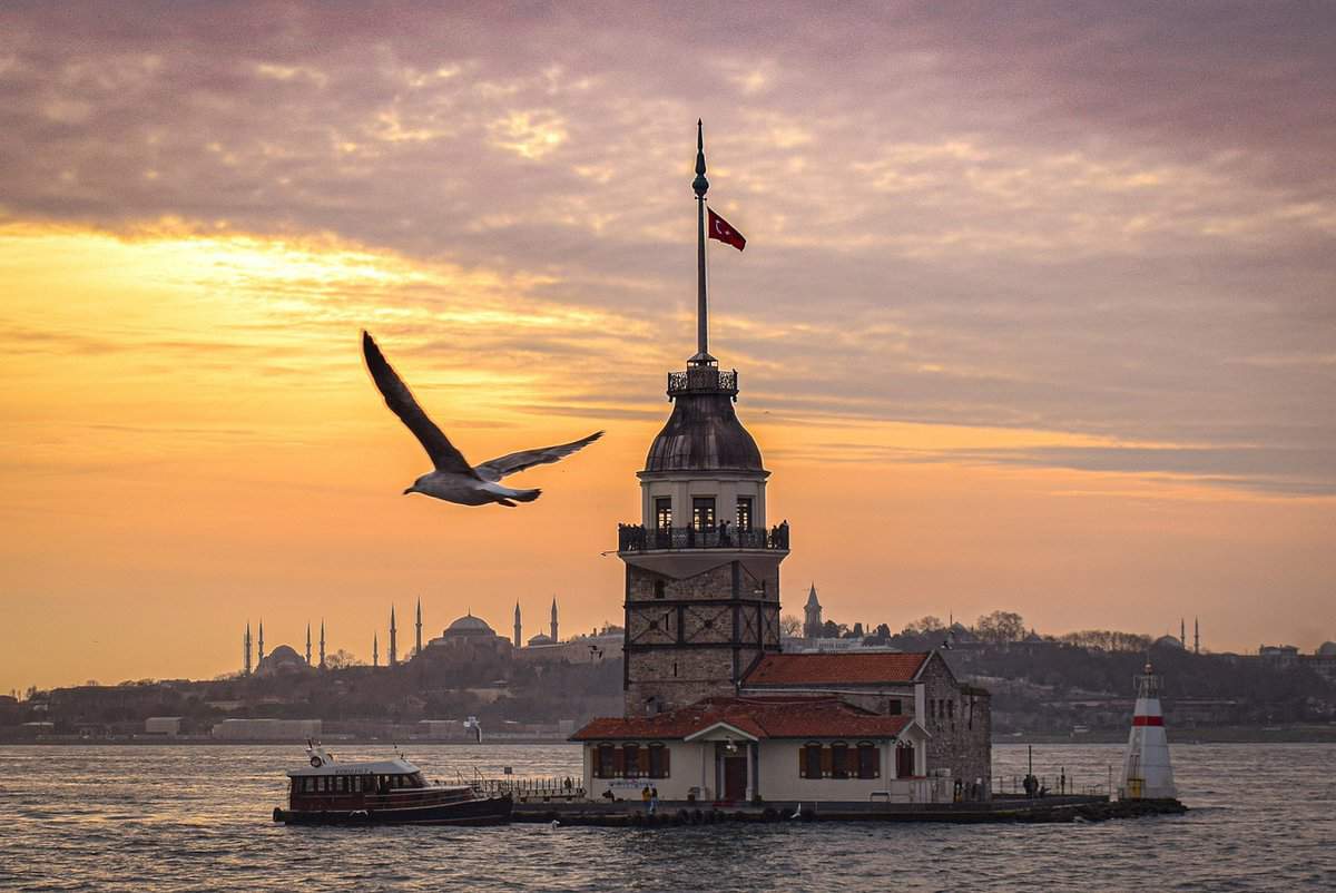 lighthouse-bird-sea