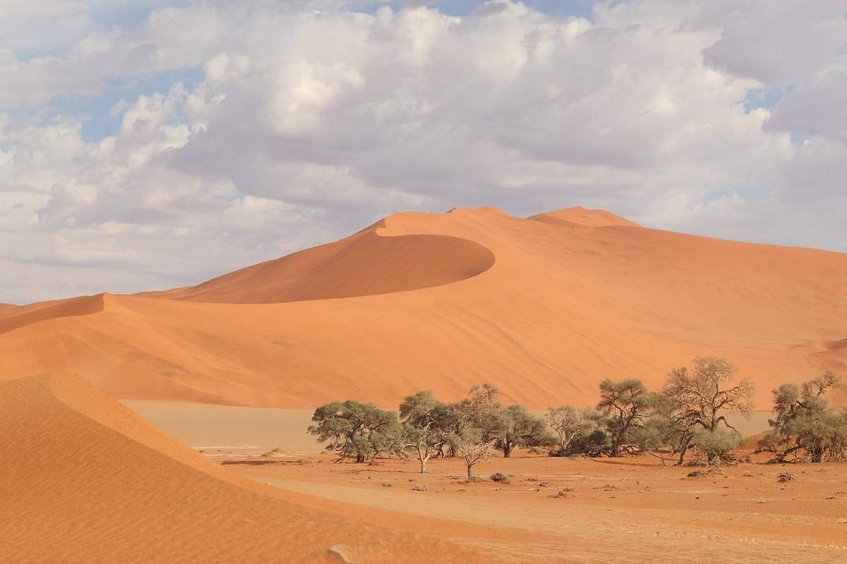 sand-dry-wasteland