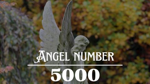 The Hidden Meaning Behind 55000 You Wont Believe This - ddc8hr9