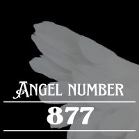 estátua de anjo-877