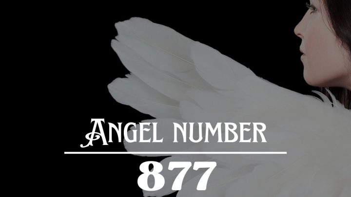 天使数字 877 的含义：新的黎明正在升起。