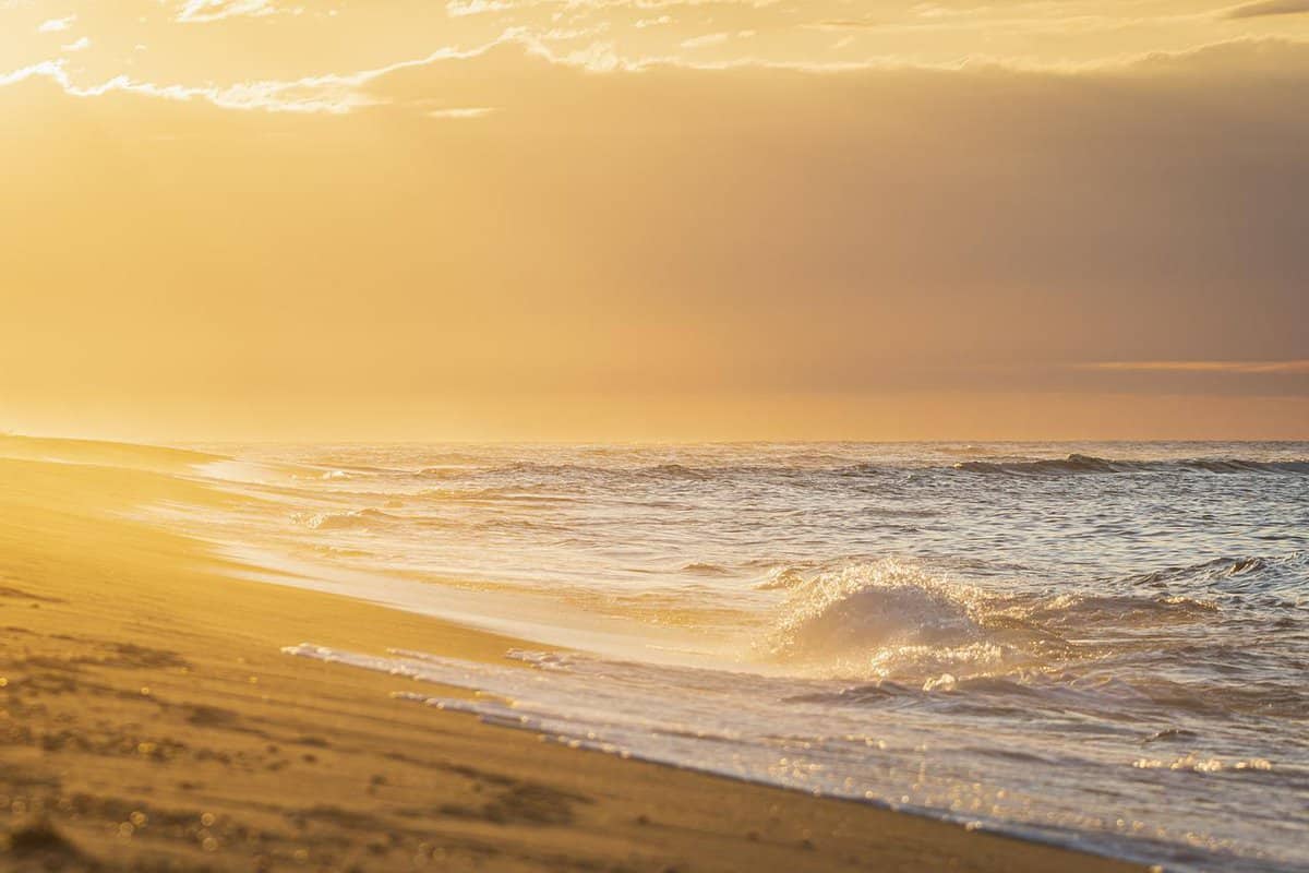 sandy-beach-sea