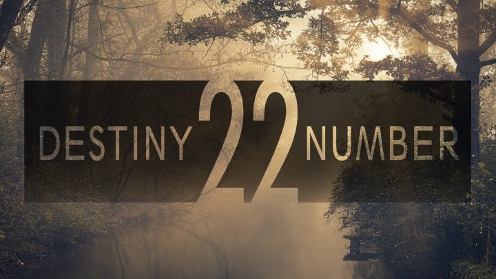 The Power of Destiny Number 22