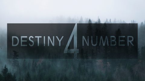 destiny number 44