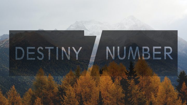 The Power of Destiny Number 7