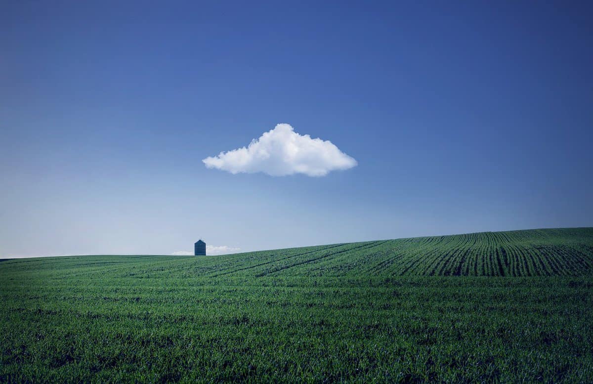 campo verde-fertile