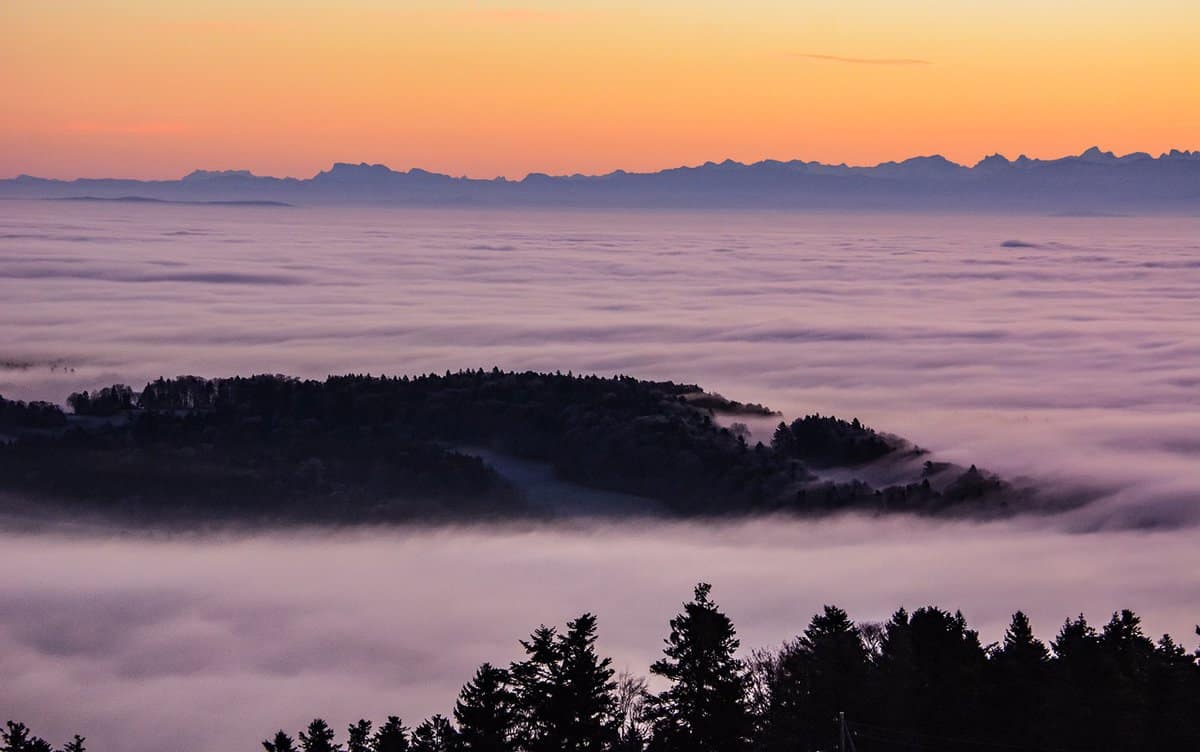 foresta-cielo-paesaggio