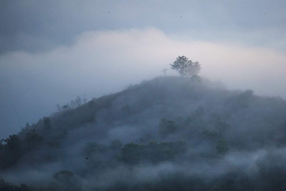 mist-fog-mystery