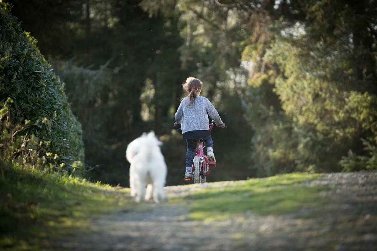 andare in bicicletta