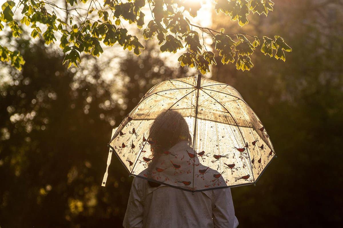 ragazza-foresta