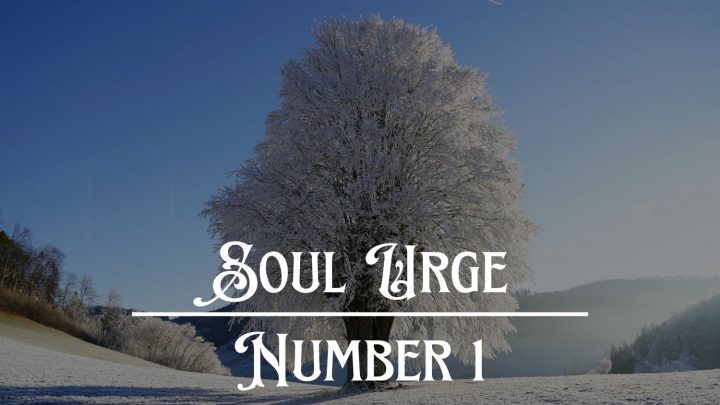 Soul Urge Number 1: You Are Unique