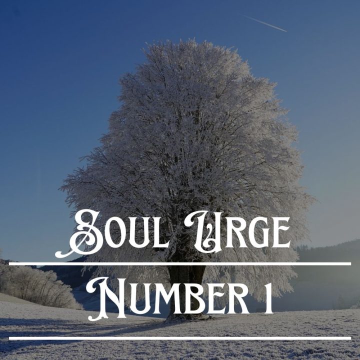 Soul Urge Numbers Angelynum soul-urge-numbers-angelynum