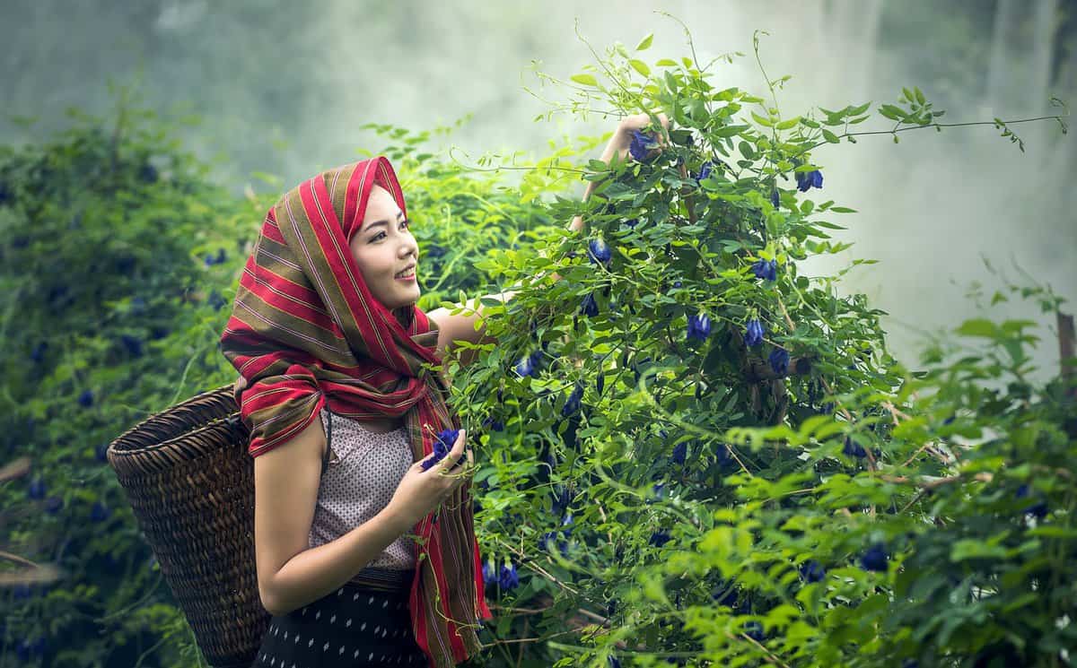 green-plants-woman