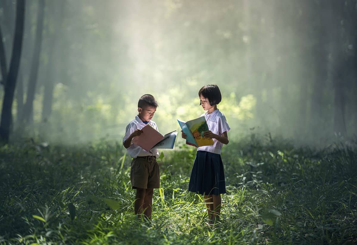 forest-reading-playing