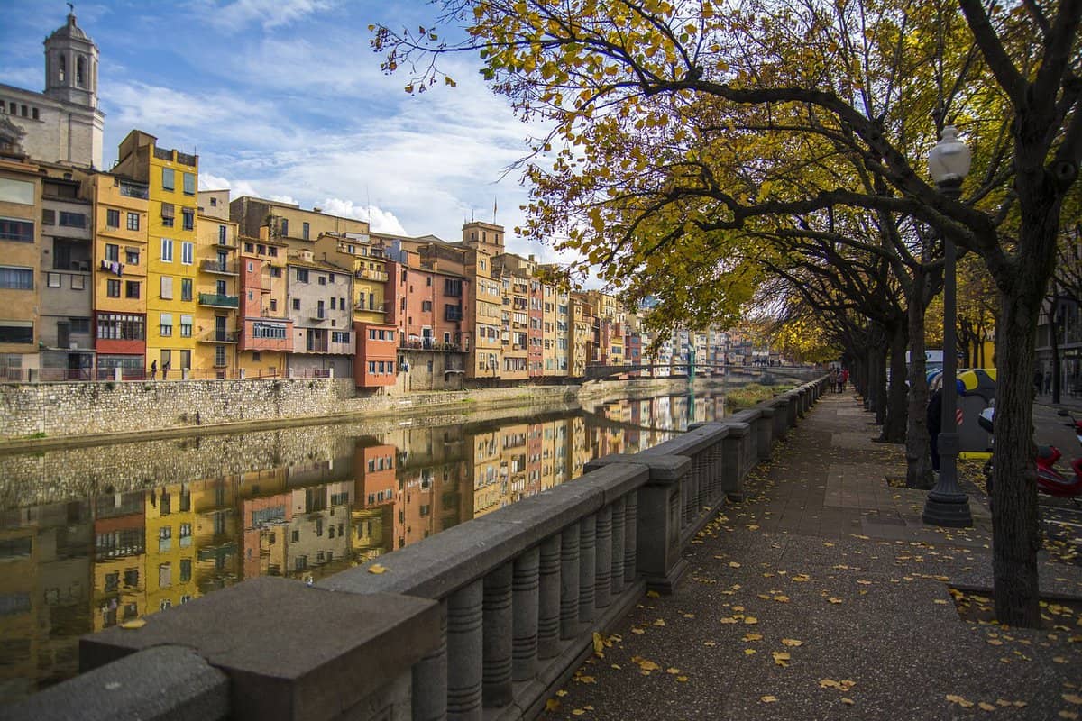 alberi-fiume-città