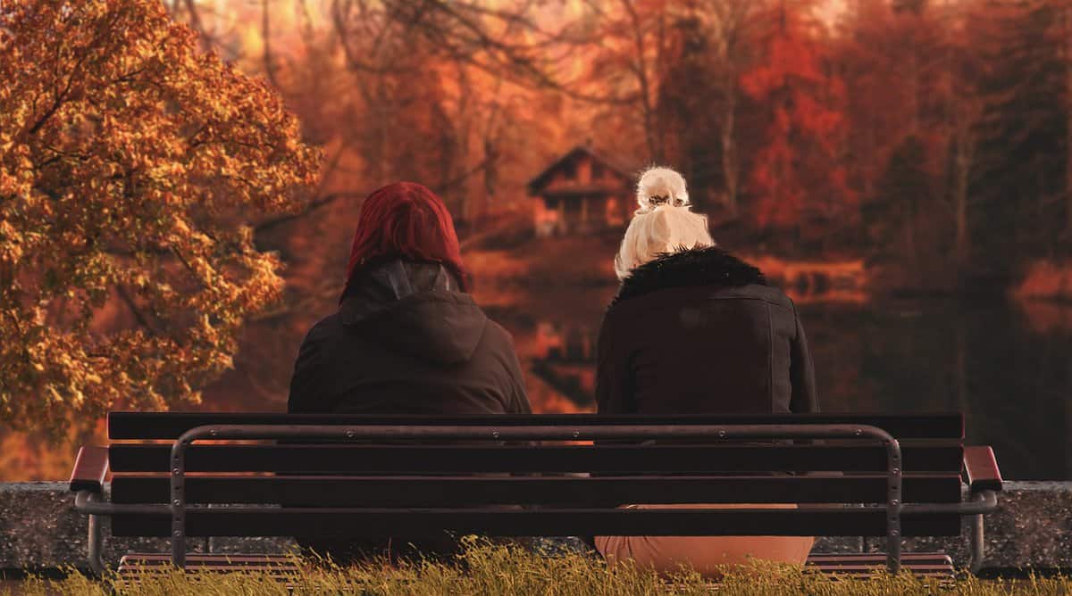 friends-on-bench