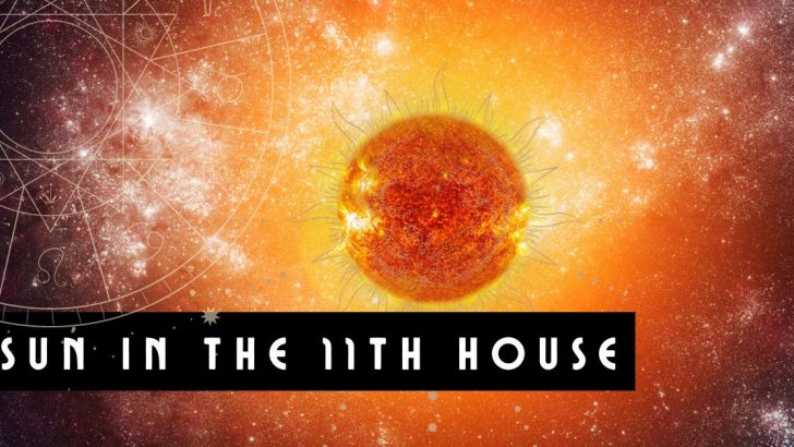 The Sun In The 11th House