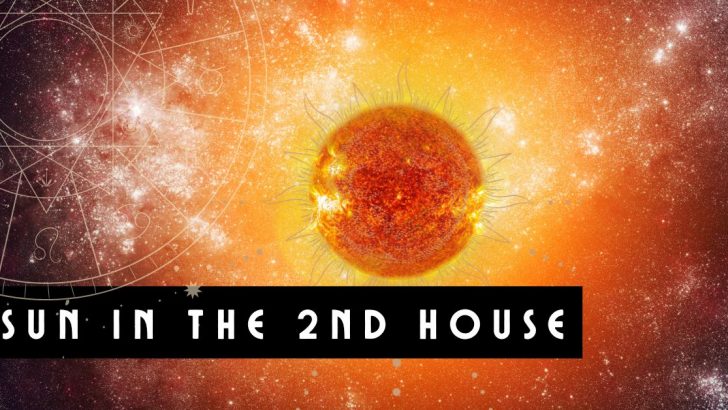 The Sun In The 2nd House