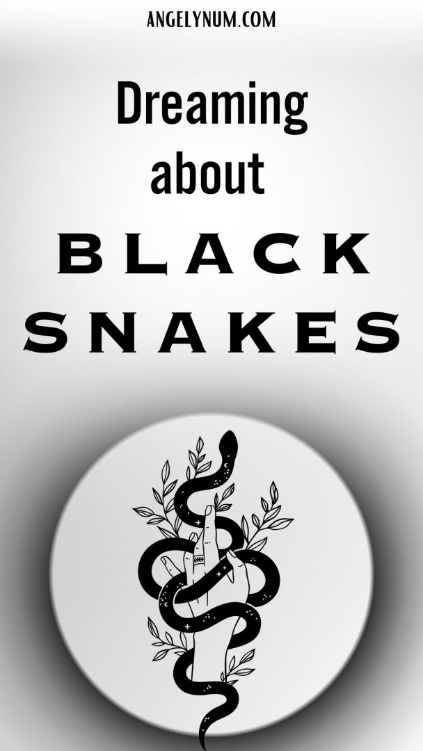Dreaming About Black Snakes - Angelynum