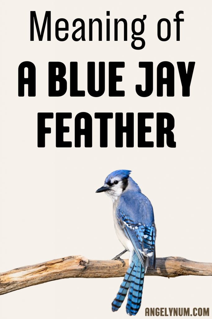 MEANING OF A BLUE JAY FEATHER