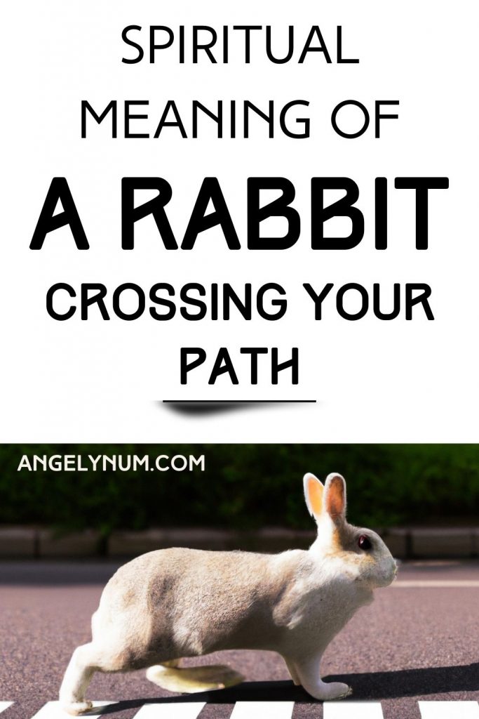 Spiritual meaning of a rabbit crossing your path