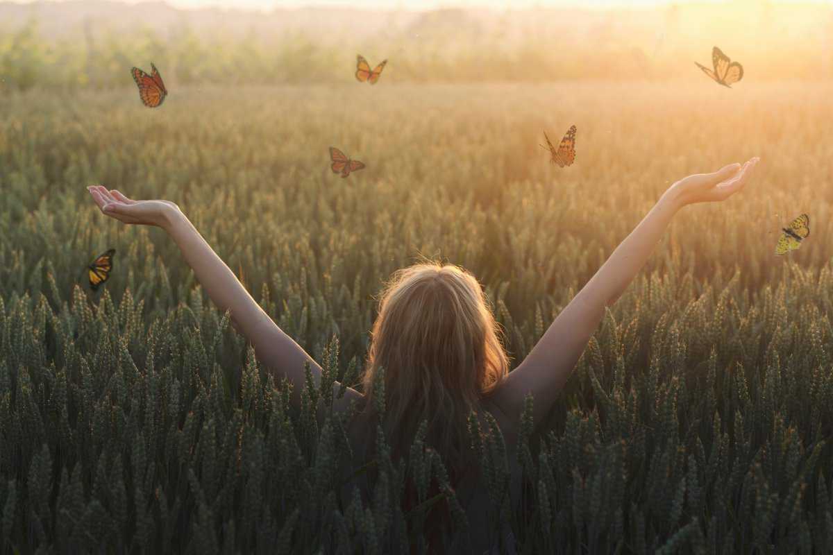 butterflies-field-freedom
