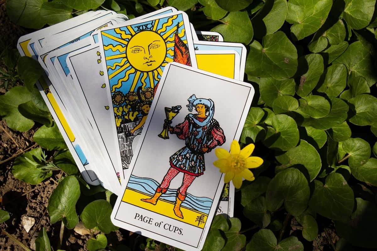 Page Of Cups As Feelings