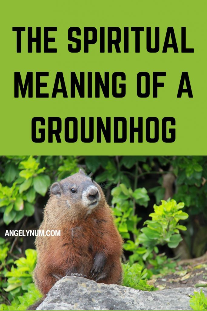 THE SPIRITUAL MEANING OF A GROUNDHOG