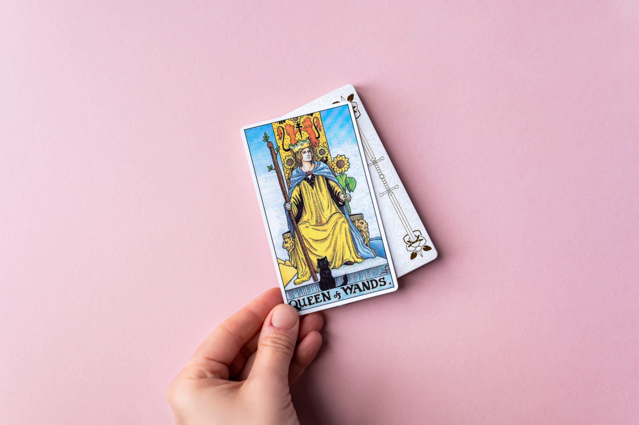 Queen Of Wands As Feelings