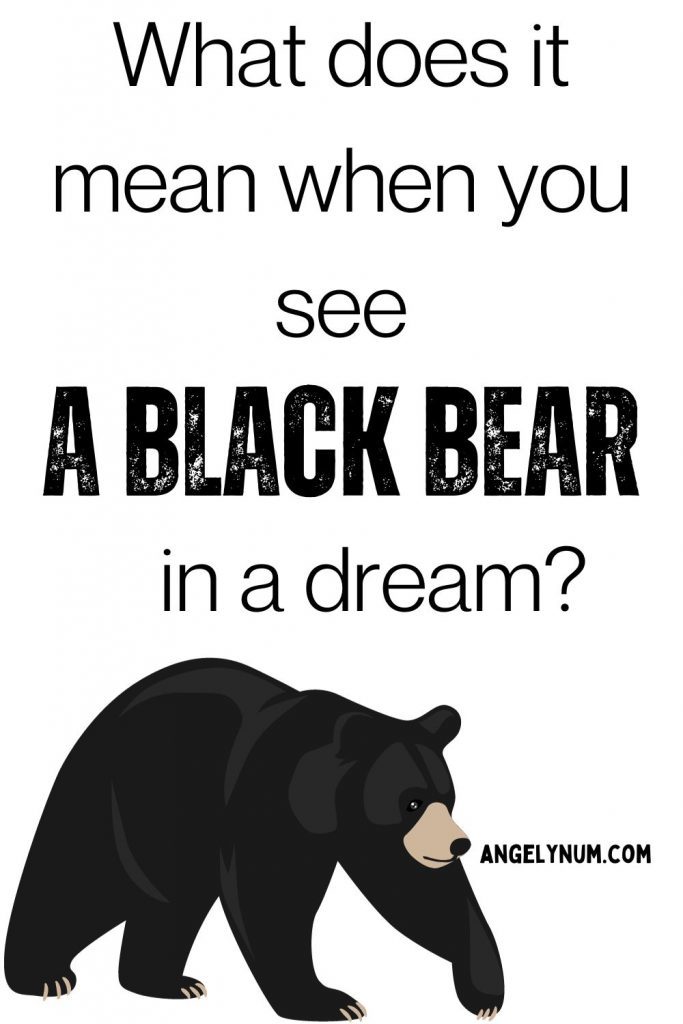 black bear in a dream