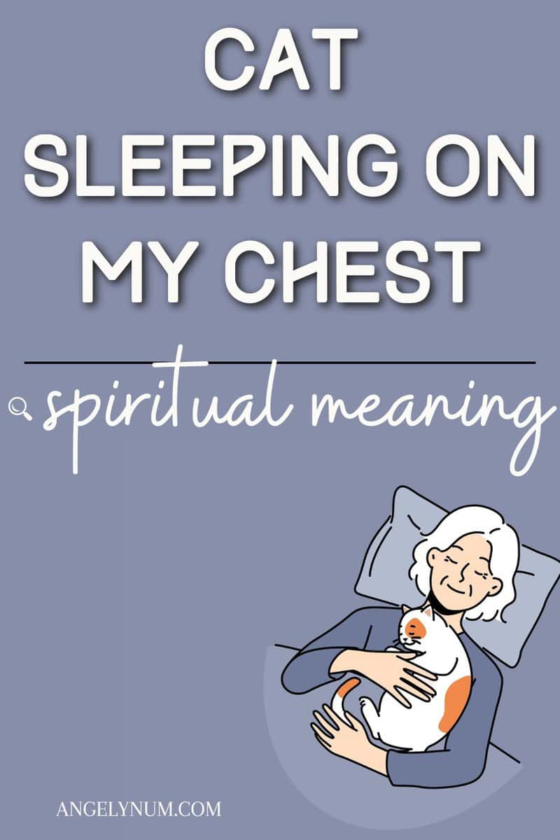 Cat Sleeping On My Chest Spiritual Meaning